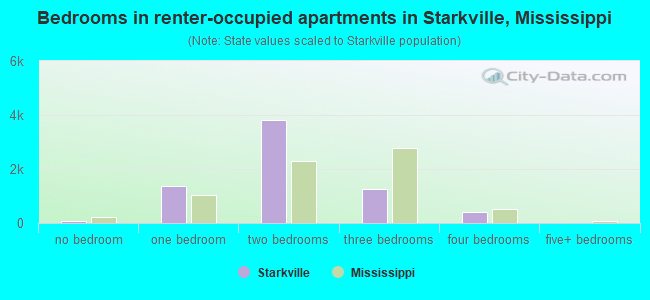 Bedrooms in renter-occupied apartments in Starkville, Mississippi