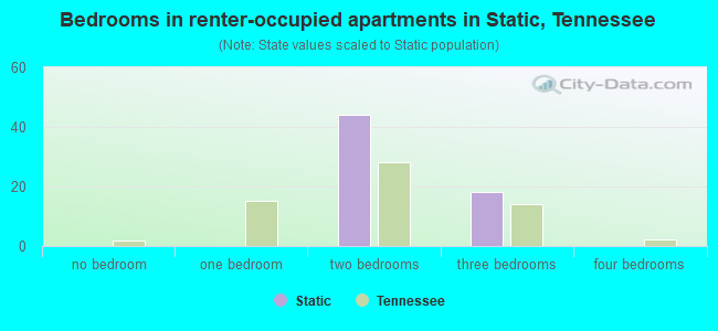 Bedrooms in renter-occupied apartments in Static, Tennessee