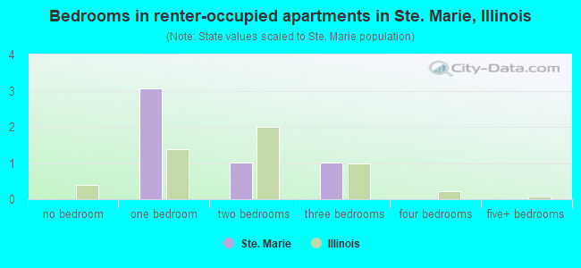 Bedrooms in renter-occupied apartments in Ste. Marie, Illinois