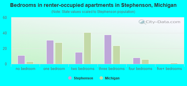 Bedrooms in renter-occupied apartments in Stephenson, Michigan