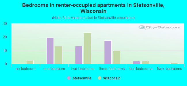 Bedrooms in renter-occupied apartments in Stetsonville, Wisconsin