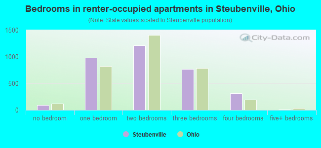 Bedrooms in renter-occupied apartments in Steubenville, Ohio
