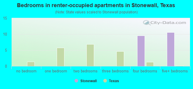 Bedrooms in renter-occupied apartments in Stonewall, Texas