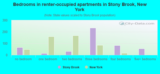 Bedrooms in renter-occupied apartments in Stony Brook, New York
