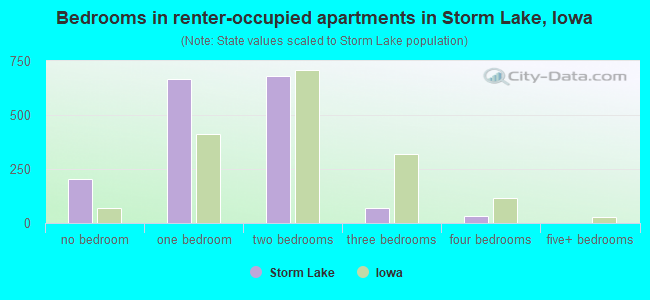 Bedrooms in renter-occupied apartments in Storm Lake, Iowa