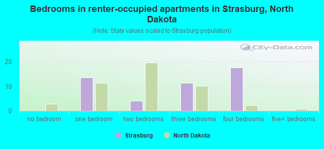 Bedrooms in renter-occupied apartments in Strasburg, North Dakota