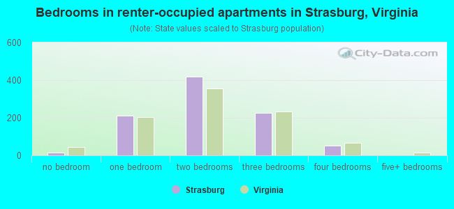 Bedrooms in renter-occupied apartments in Strasburg, Virginia