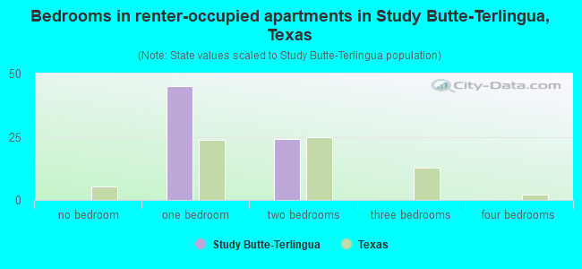 Bedrooms in renter-occupied apartments in Study Butte-Terlingua, Texas