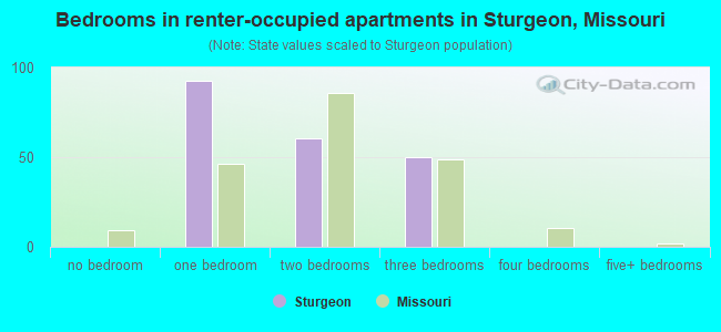 Bedrooms in renter-occupied apartments in Sturgeon, Missouri
