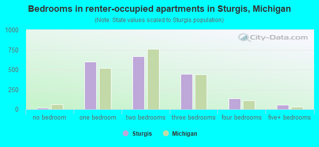 Bedrooms in renter-occupied apartments in Sturgis, Michigan