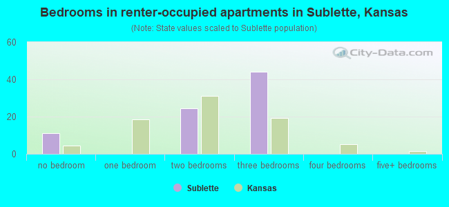 Bedrooms in renter-occupied apartments in Sublette, Kansas