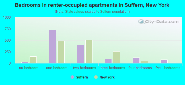 Bedrooms in renter-occupied apartments in Suffern, New York
