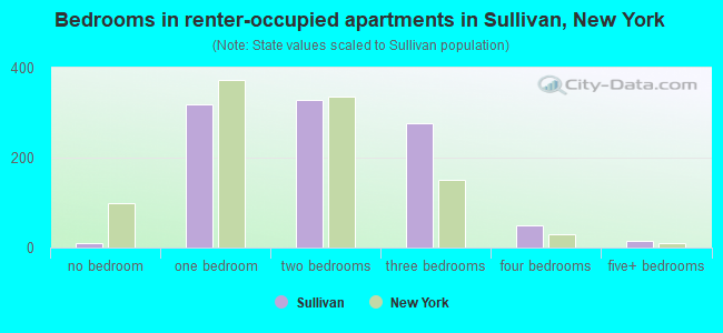 Bedrooms in renter-occupied apartments in Sullivan, New York