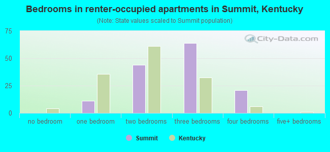 Bedrooms in renter-occupied apartments in Summit, Kentucky