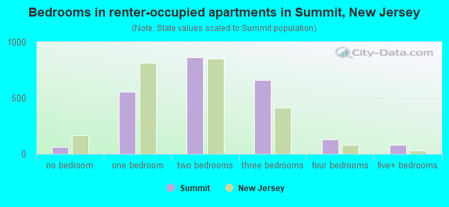 Bedrooms in renter-occupied apartments in Summit, New Jersey