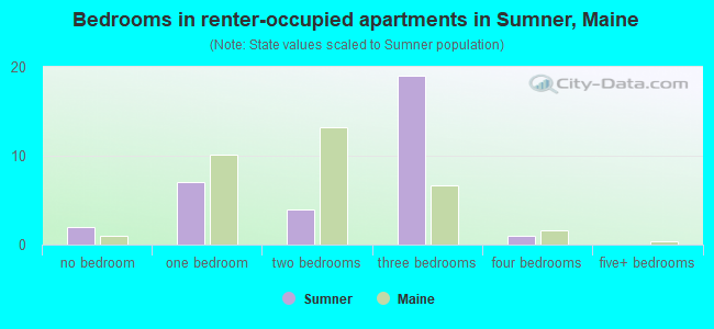 Bedrooms in renter-occupied apartments in Sumner, Maine