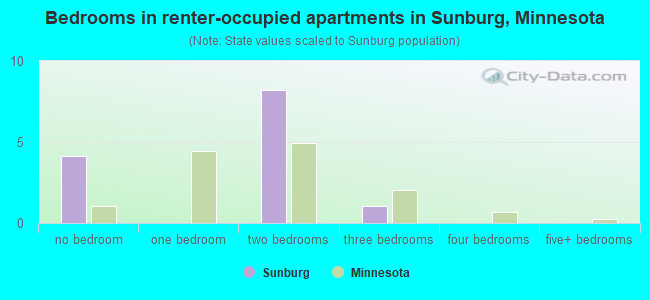 Bedrooms in renter-occupied apartments in Sunburg, Minnesota