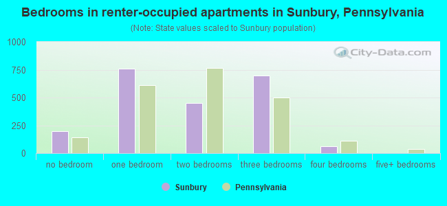 Bedrooms in renter-occupied apartments in Sunbury, Pennsylvania