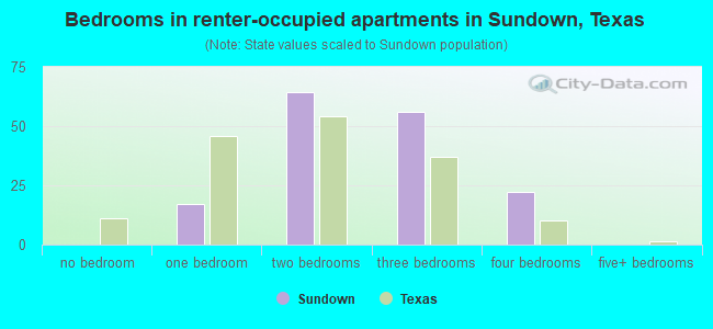 Bedrooms in renter-occupied apartments in Sundown, Texas