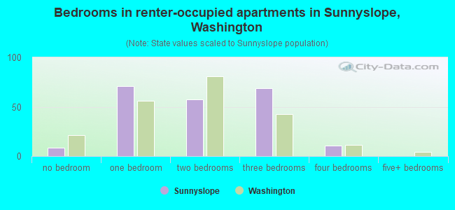 Bedrooms in renter-occupied apartments in Sunnyslope, Washington