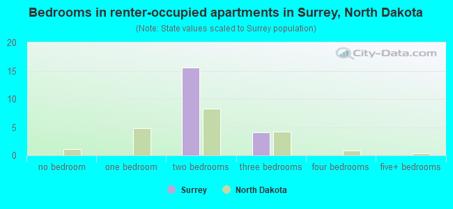 Bedrooms in renter-occupied apartments in Surrey, North Dakota