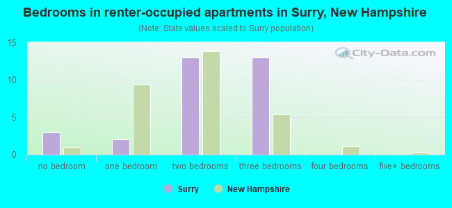 Bedrooms in renter-occupied apartments in Surry, New Hampshire