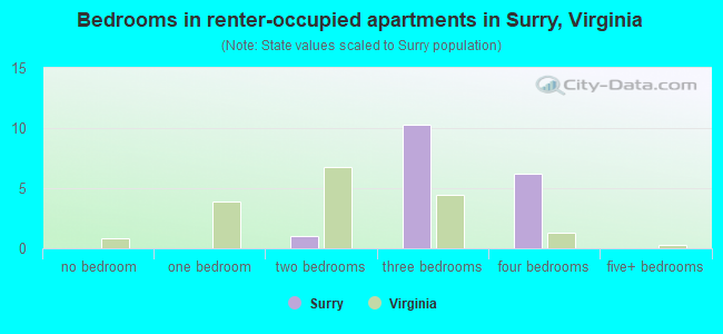 Bedrooms in renter-occupied apartments in Surry, Virginia