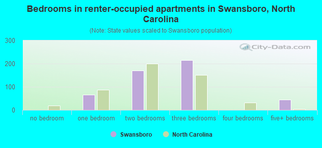 Bedrooms in renter-occupied apartments in Swansboro, North Carolina