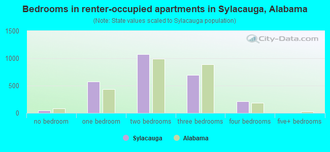 Bedrooms in renter-occupied apartments in Sylacauga, Alabama
