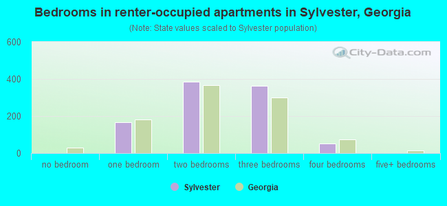 Bedrooms in renter-occupied apartments in Sylvester, Georgia