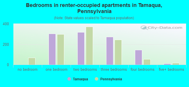Bedrooms in renter-occupied apartments in Tamaqua, Pennsylvania