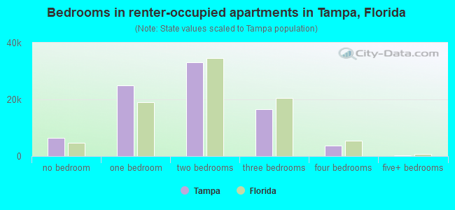 Bedrooms in renter-occupied apartments in Tampa, Florida