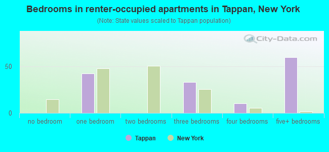 Bedrooms in renter-occupied apartments in Tappan, New York