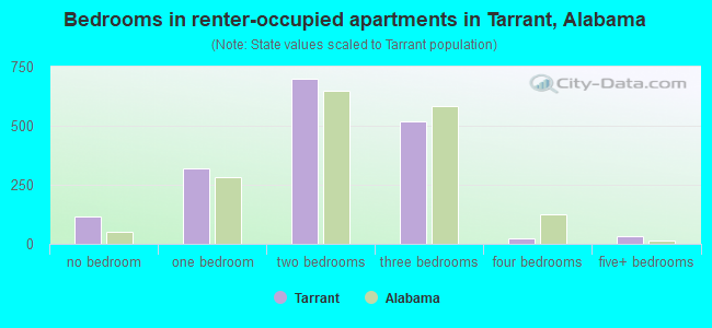 Bedrooms in renter-occupied apartments in Tarrant, Alabama