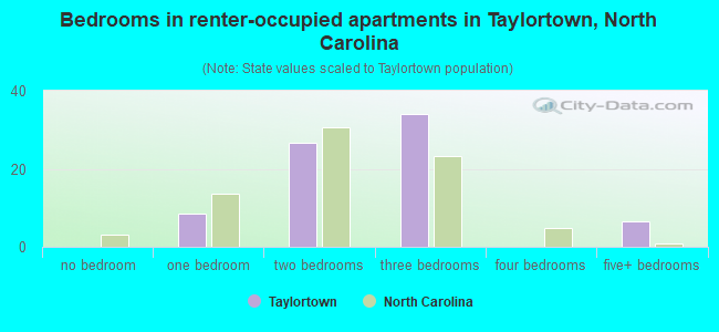 Bedrooms in renter-occupied apartments in Taylortown, North Carolina