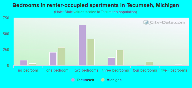 Bedrooms in renter-occupied apartments in Tecumseh, Michigan