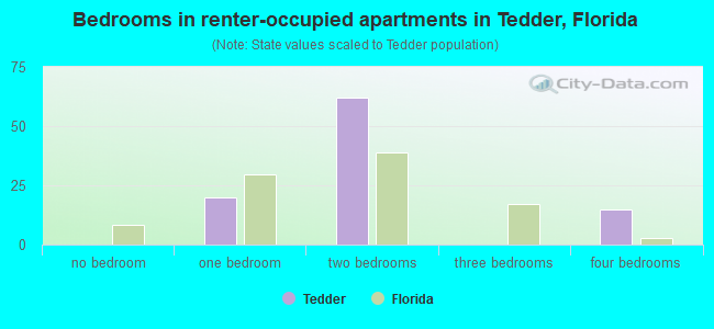 Bedrooms in renter-occupied apartments in Tedder, Florida