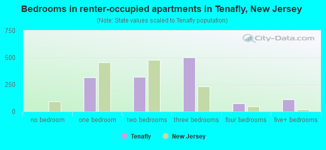 Bedrooms in renter-occupied apartments in Tenafly, New Jersey