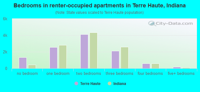 Bedrooms in renter-occupied apartments in Terre Haute, Indiana