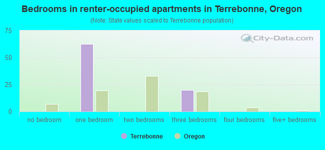 Bedrooms in renter-occupied apartments in Terrebonne, Oregon