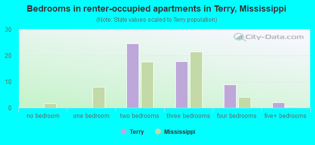 Bedrooms in renter-occupied apartments in Terry, Mississippi