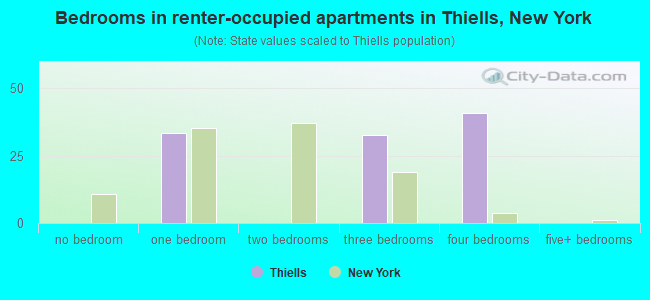 Bedrooms in renter-occupied apartments in Thiells, New York