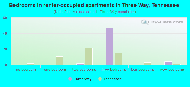 Bedrooms in renter-occupied apartments in Three Way, Tennessee