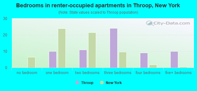 Bedrooms in renter-occupied apartments in Throop, New York
