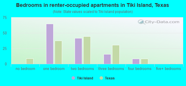 Bedrooms in renter-occupied apartments in Tiki Island, Texas