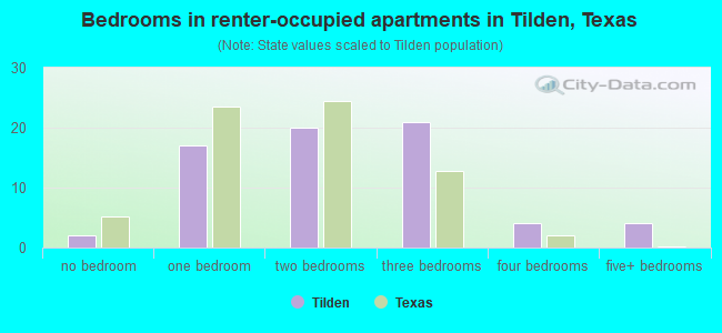 Bedrooms in renter-occupied apartments in Tilden, Texas
