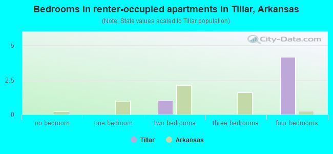 Bedrooms in renter-occupied apartments in Tillar, Arkansas
