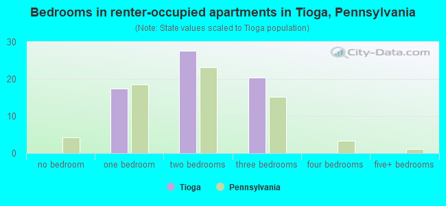 Bedrooms in renter-occupied apartments in Tioga, Pennsylvania