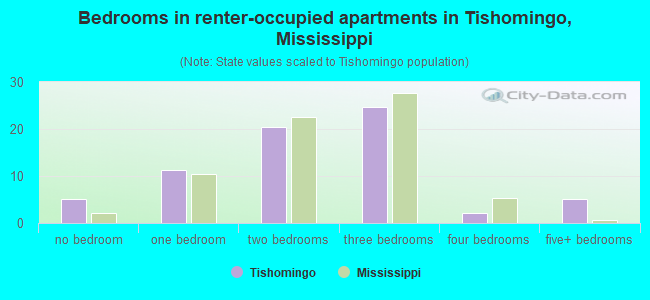 Bedrooms in renter-occupied apartments in Tishomingo, Mississippi