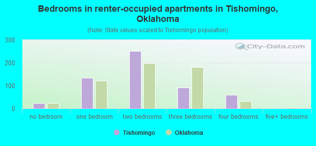 Bedrooms in renter-occupied apartments in Tishomingo, Oklahoma